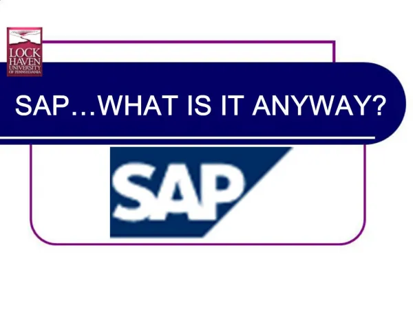 SAP WHAT IS IT ANYWAY