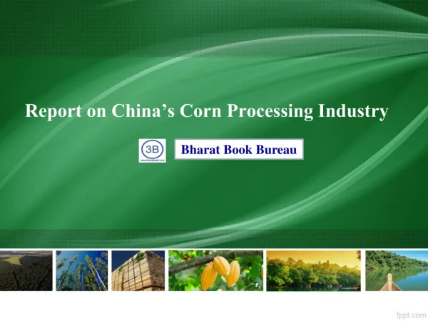 Report on China’s Corn Processing Industry