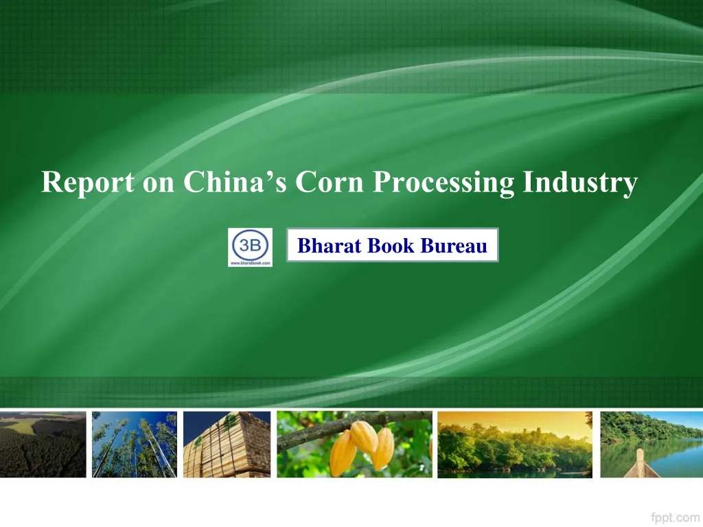 report on china s corn processing industry