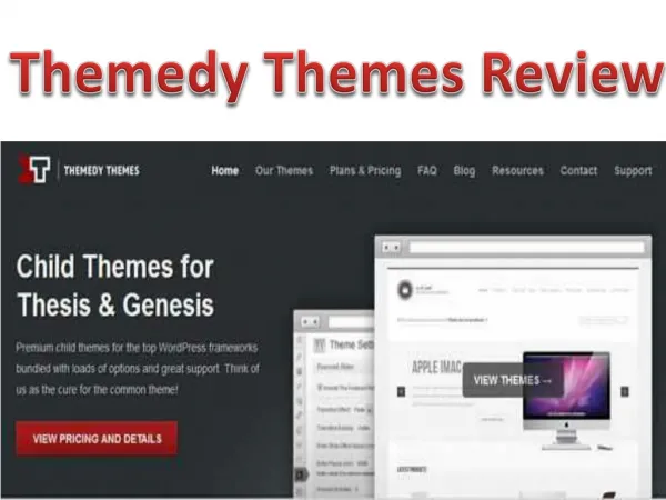 Themedy Themes Review