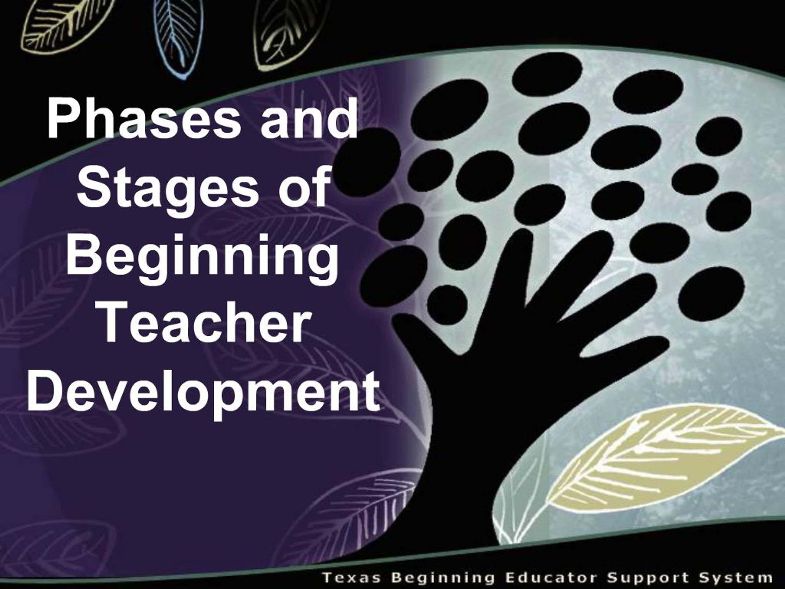 Beginning Developing PPT - Phases and Stages of Beginning Teacher Development PowerPoint ...