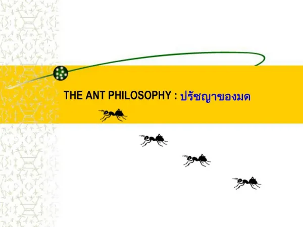 THE ANT PHILOSOPHY :