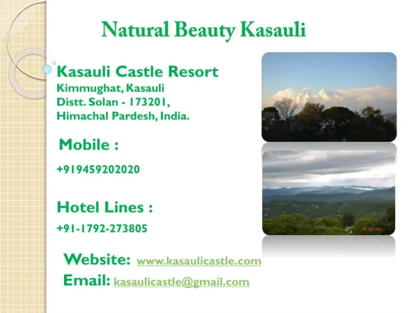 Natural Scenes Kasauli