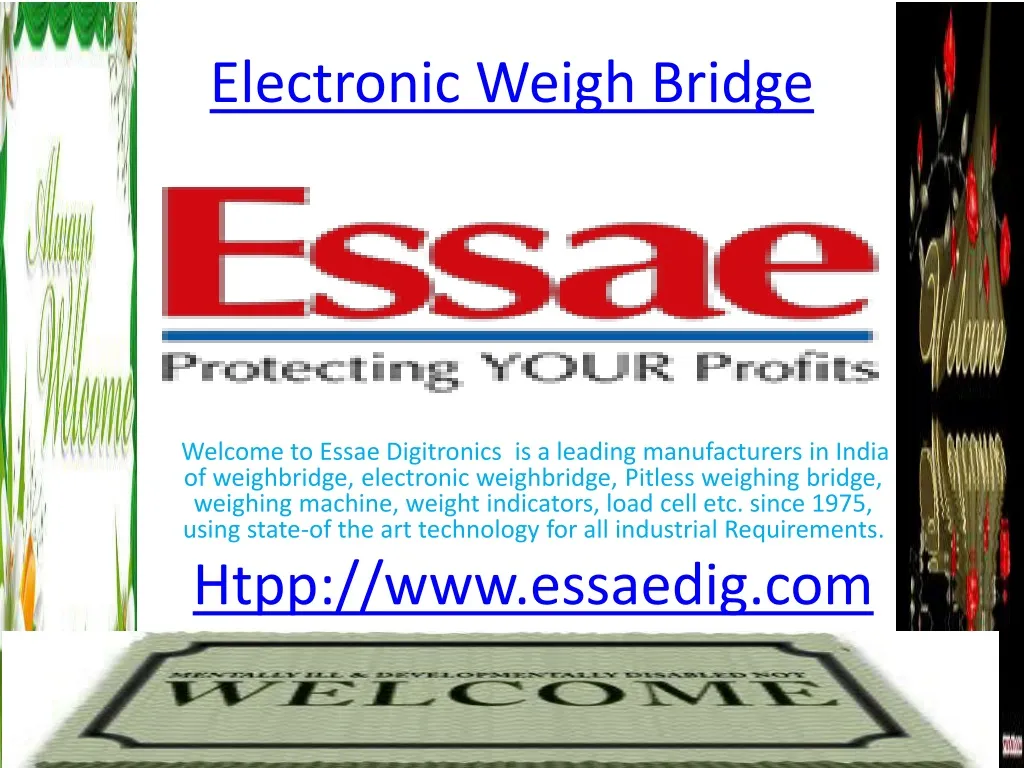 electronic weigh bridge