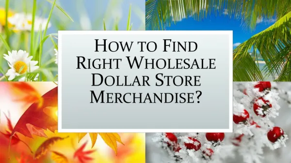 How to Find Right Wholesale Dollar Store Merchandise?