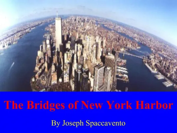 The Bridges of New York Harbor