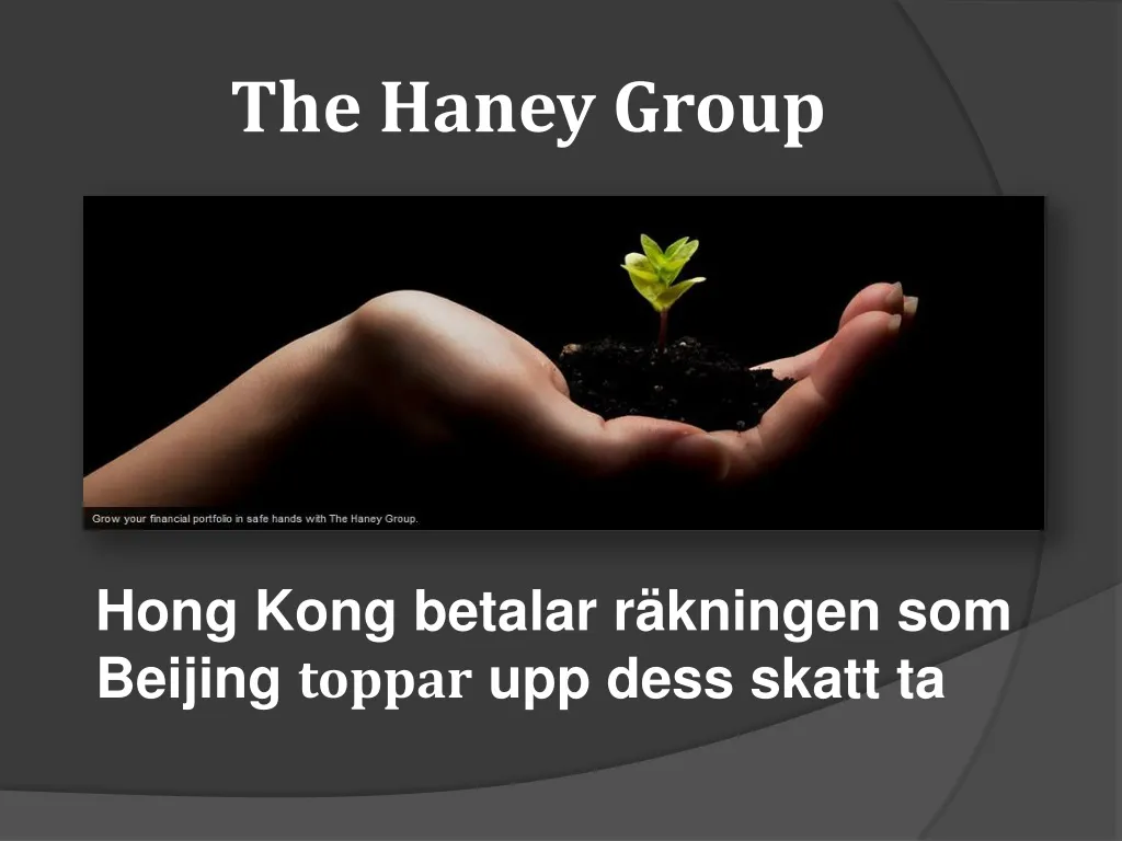the haney group