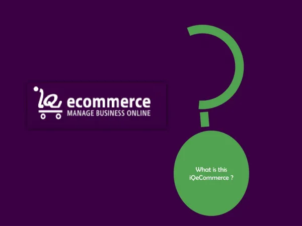 iQeCommerce shopping cart software for small business owners