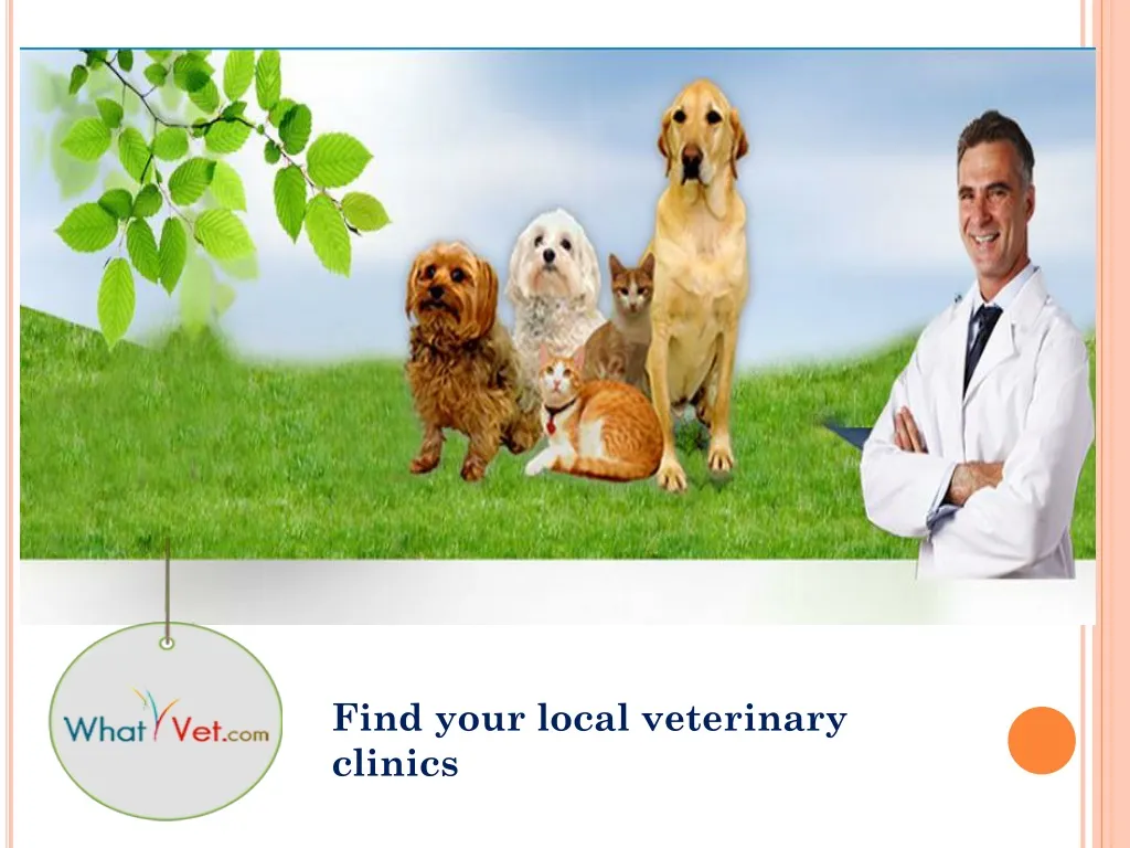find your local veterinary clinics