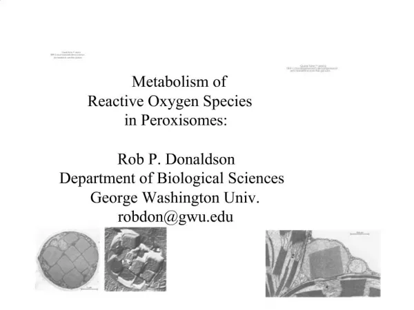 Metabolism of Reactive Oxygen Species in Peroxisomes: Rob P. Donaldson Department of Biological Sciences George Washin