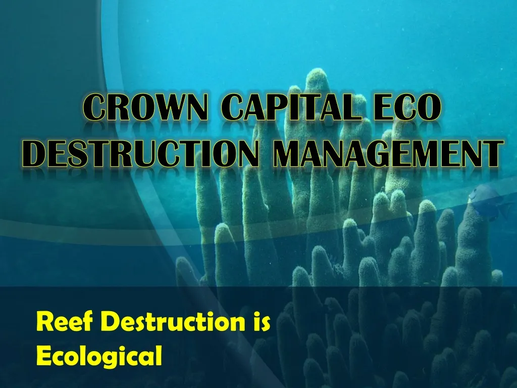 crown capital eco destruction management