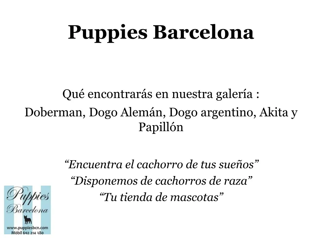 puppies barcelona