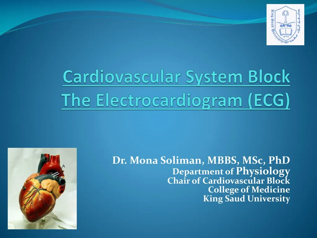 cardiovascular system block the electrocardiogram ecg