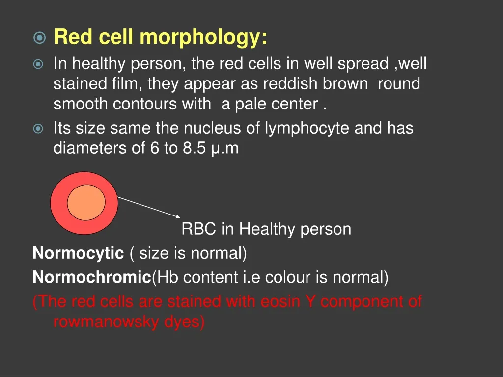red cell morphology in healthy person