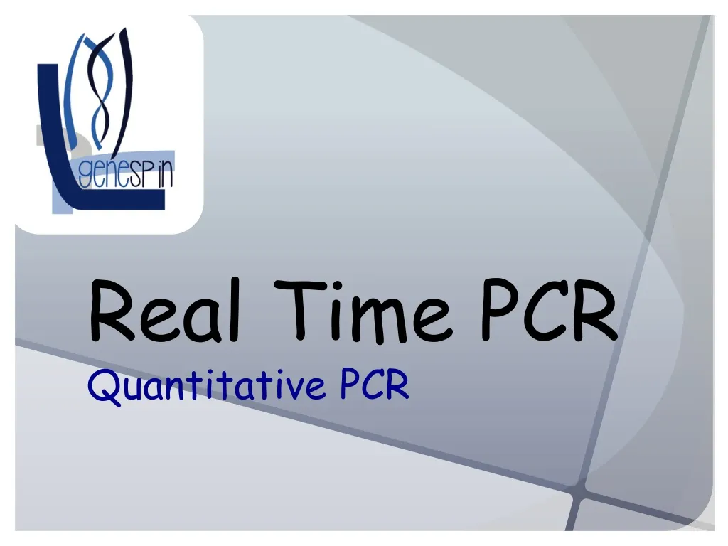real time pcr quantitative pcr