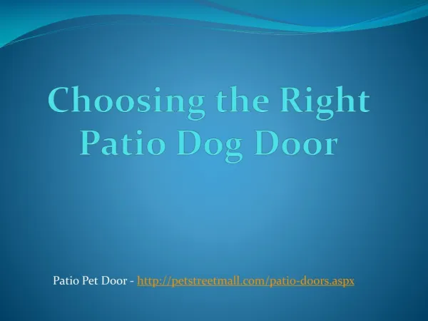 Choosing the Right Patio Dog Door