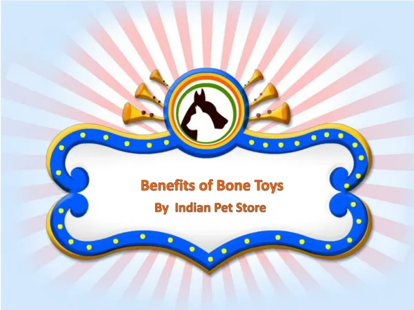 Benefits of Bone Toys By Indian Pet Store