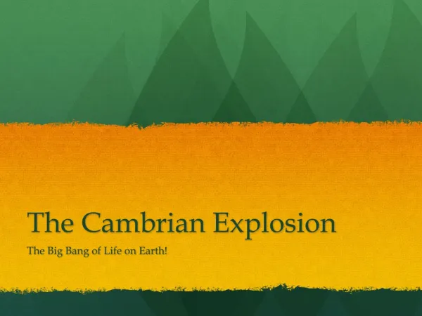 The Cambrian Explosion