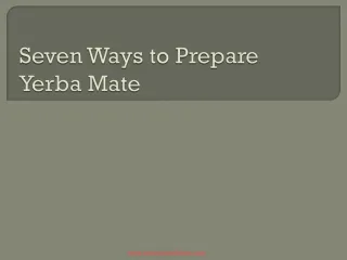 Seven Ways to Prepare Yerba Mate - slide 1