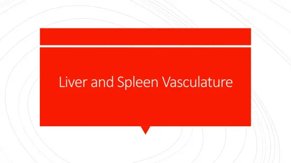 Liver and Spleen Vasculature