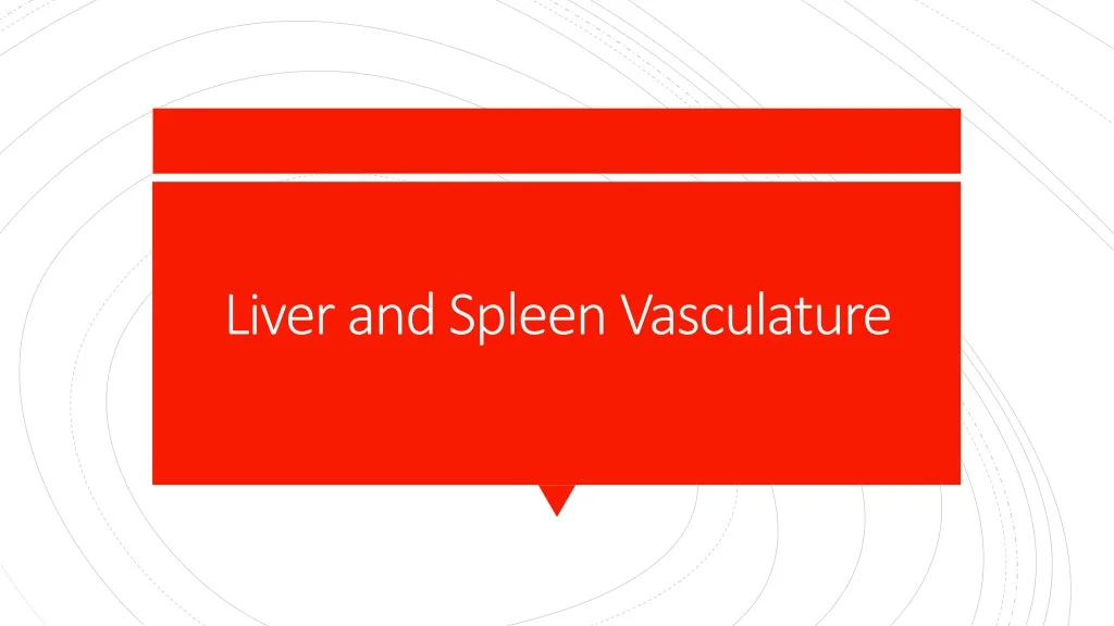 liver and spleen vasculature