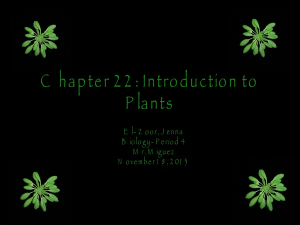 Chapter 22: Introduction to Plants