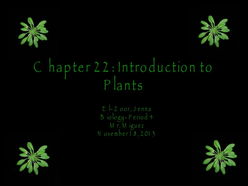 chapter 22 introduction to plants