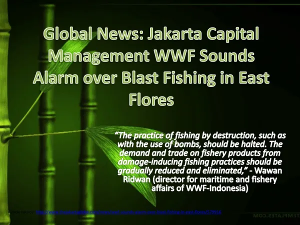Global News: Jakarta Capital Management WWF Sounds Alarm