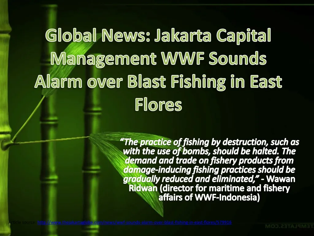 global news jakarta capital management wwf sounds alarm over blast fishing in east flores