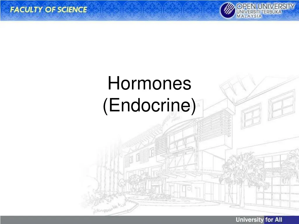 hormones endocrine