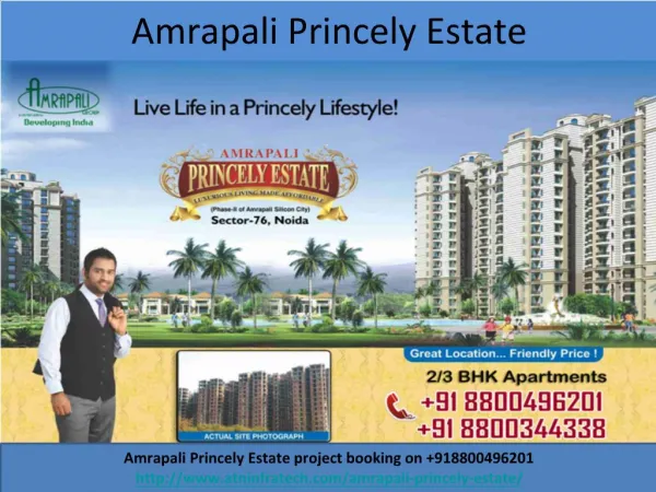 Amrapali Princely Estate offers Homes in Noida on affordable