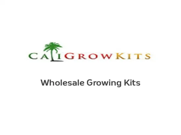 Caligrowkits - Mushroom Growing Kits