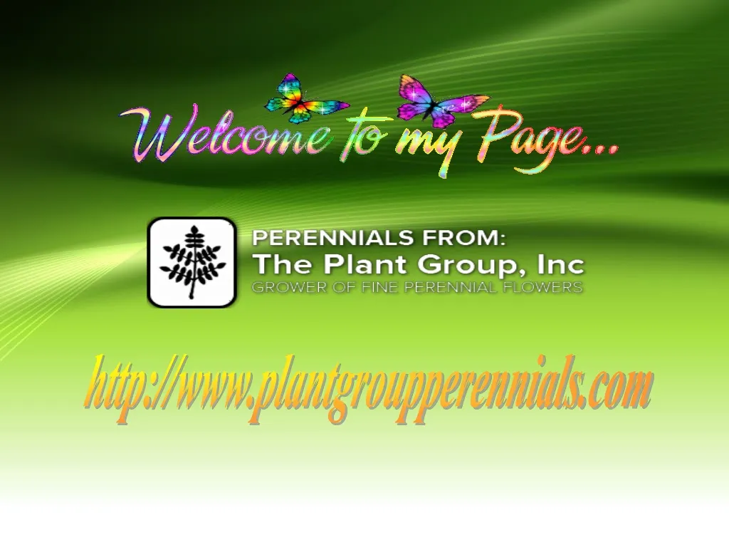 http www plantgroupperennials com