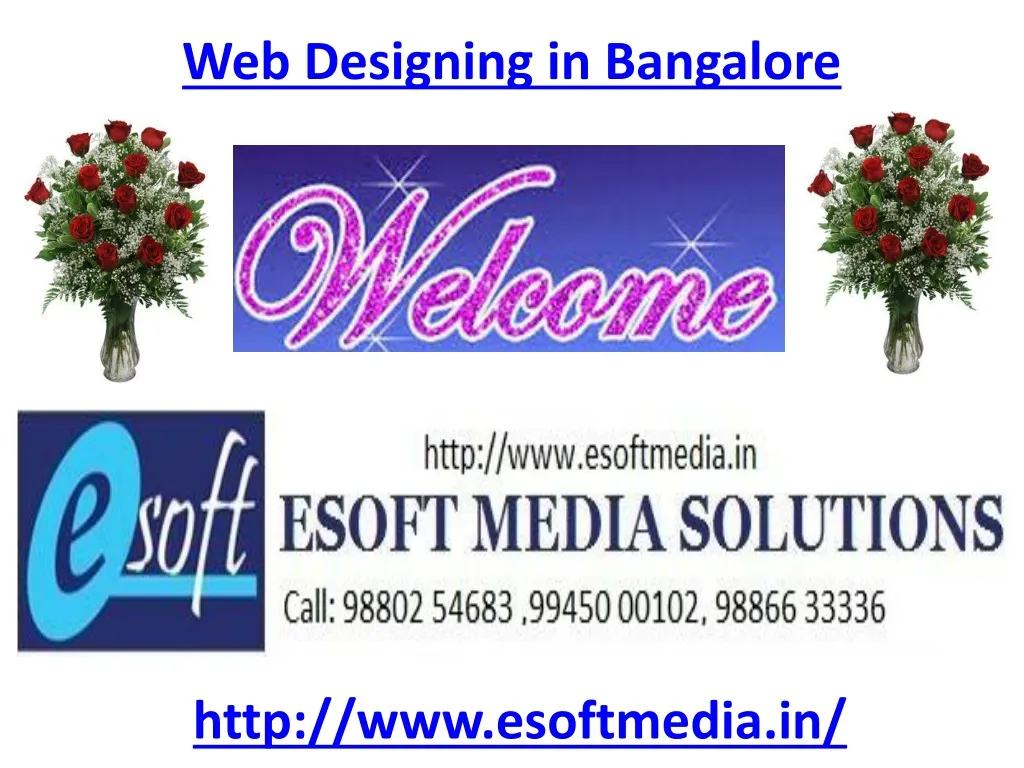 web designing in bangalore