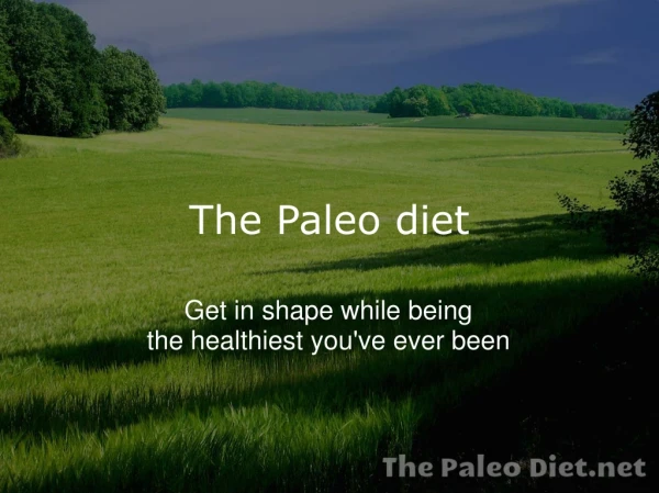 The paleo diet