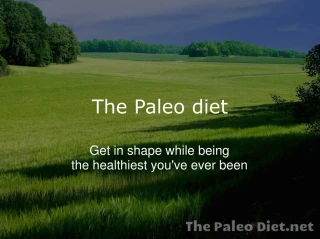 The paleo diet - slide 1