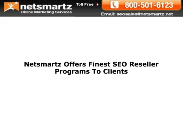 Netsmartz Offers Finest SEO Reseller Programs To Clients