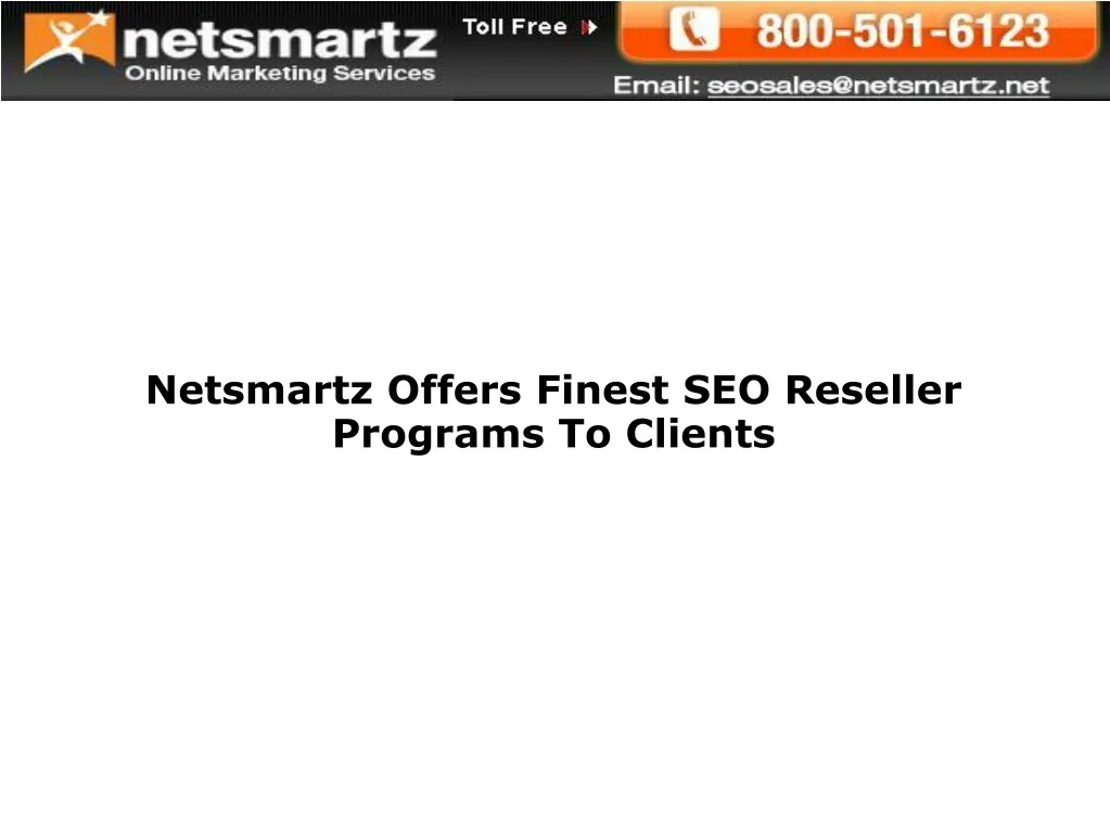 netsmartz offers finest seo reseller programs