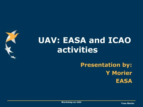 UAV: EASA and ICAO activities