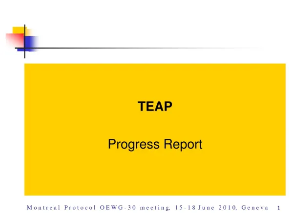 TEAP Progress Report