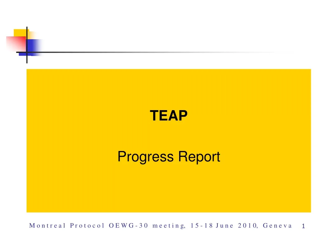 teap progress report