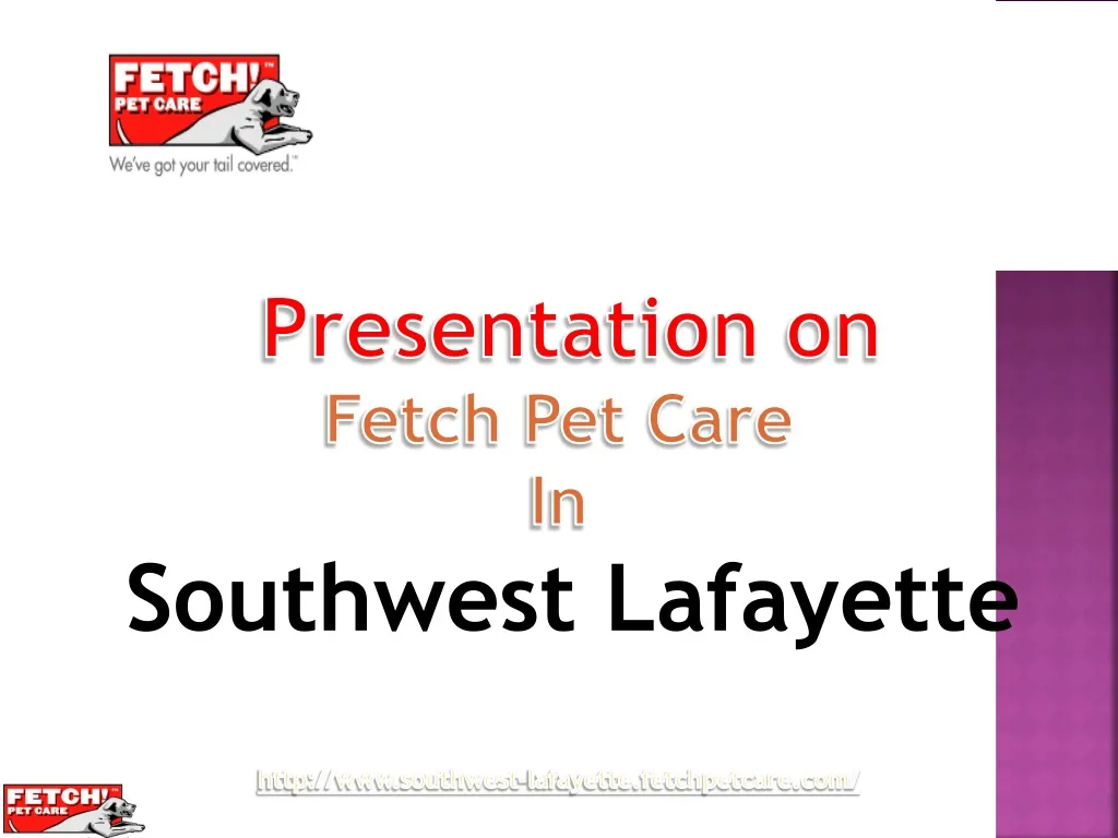 presentation on fetch pet care in southwest