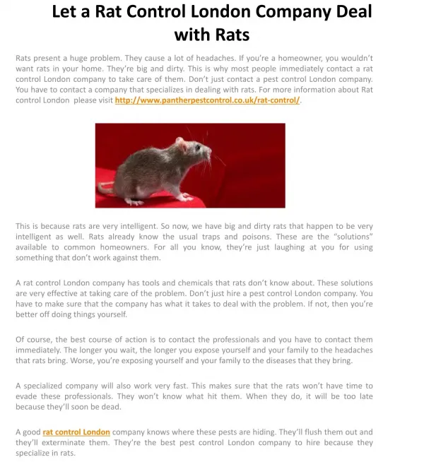 Let a Rat Control London Company Deal with Rats
