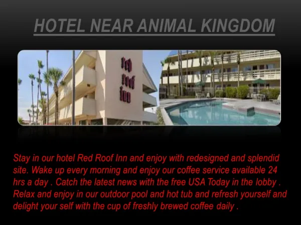 hotel near animal kingdom