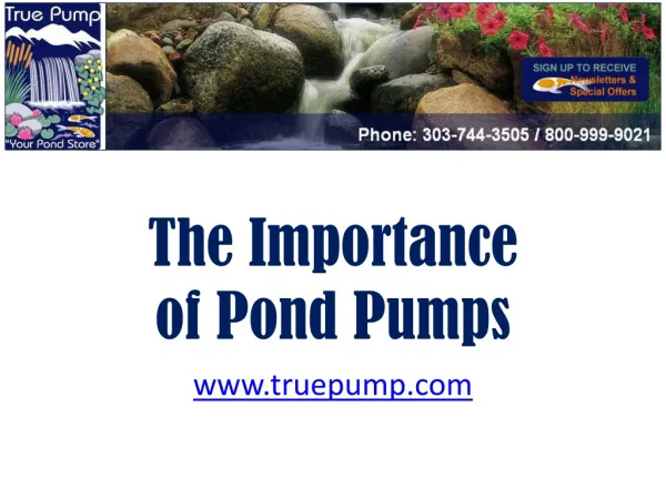 The Importance of Pond Pumps