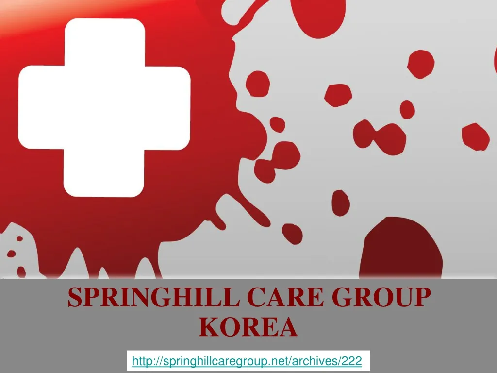 springhill care group korea