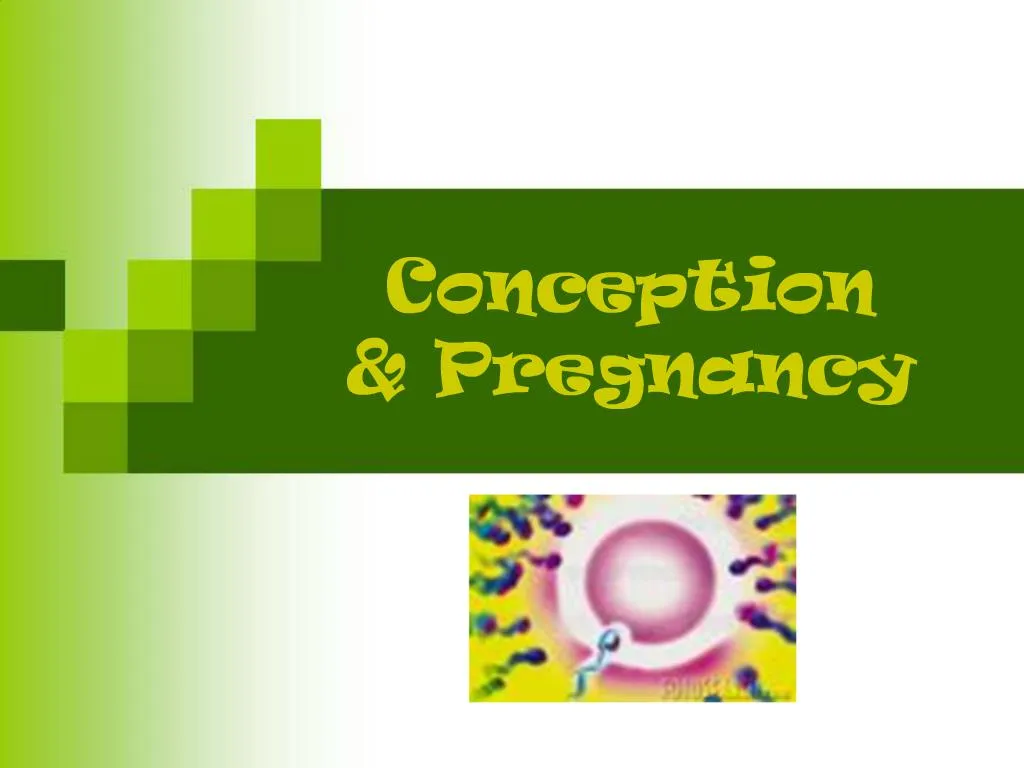 Ppt Conception Pregnancy Powerpoint Presentation Free Download Id