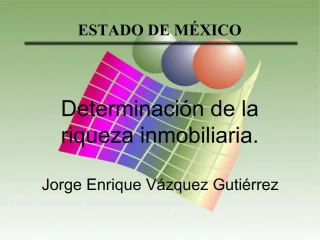 ESTADO DE M XICO