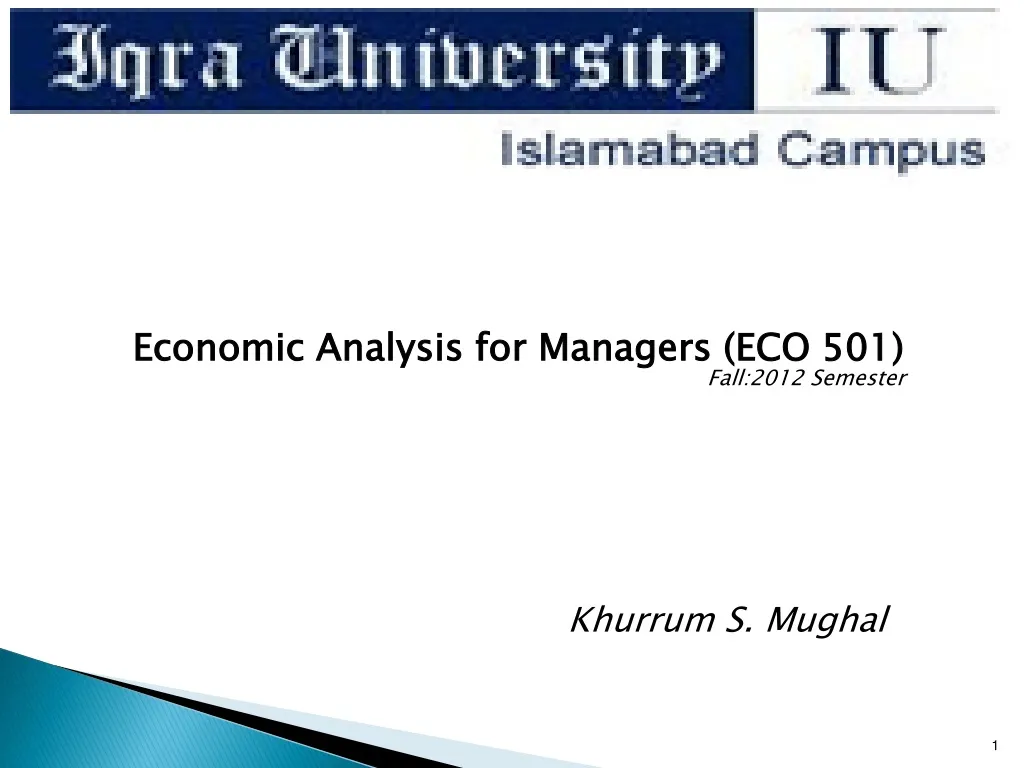 economic analysis for managers eco 501 fall 2012