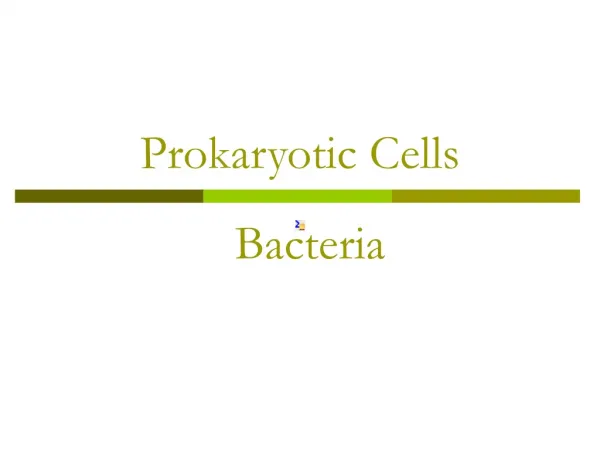 Prokaryotic Cells